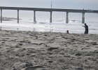 Thanksgiving07 061